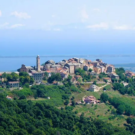Casa Luna Contemporain Au Cœur De Borgo (Corsica)